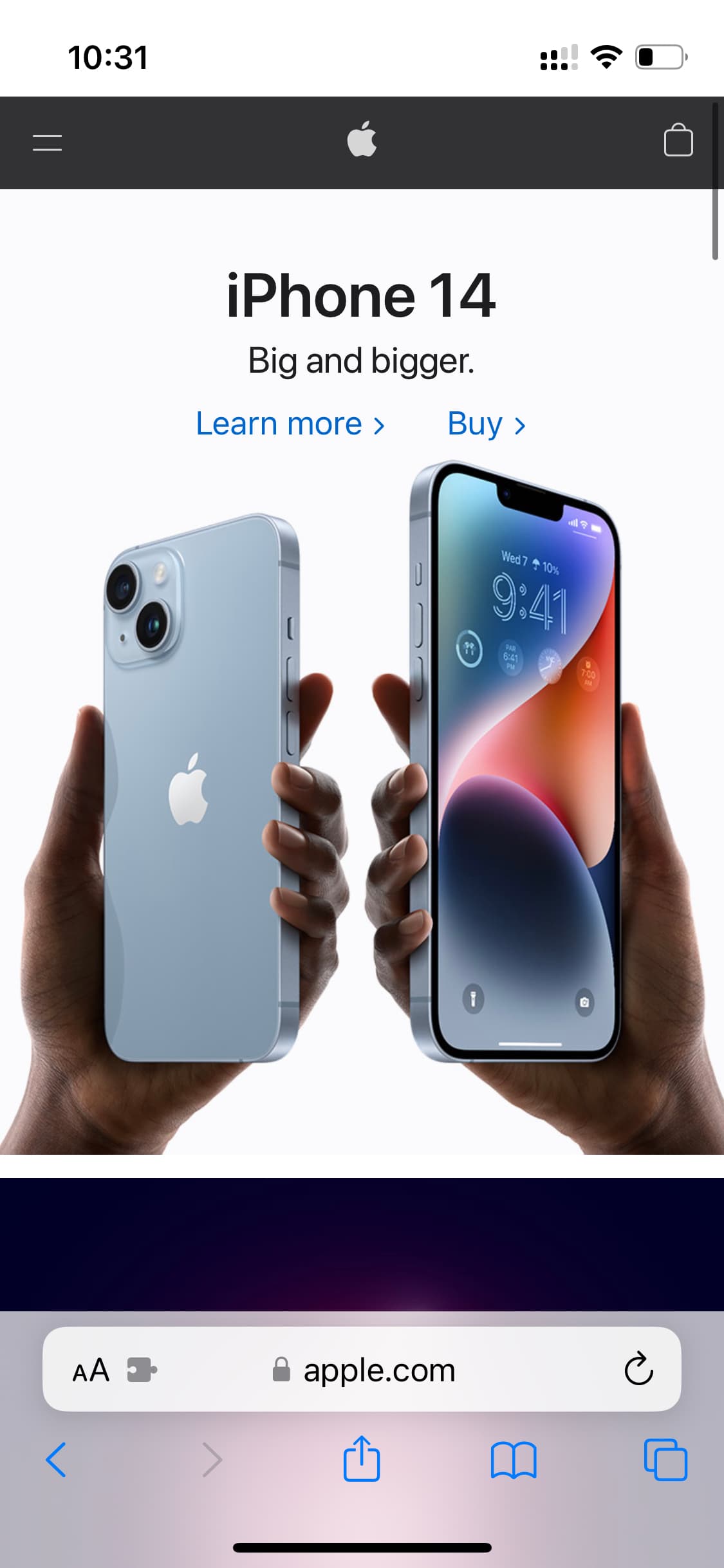safari.jpeg